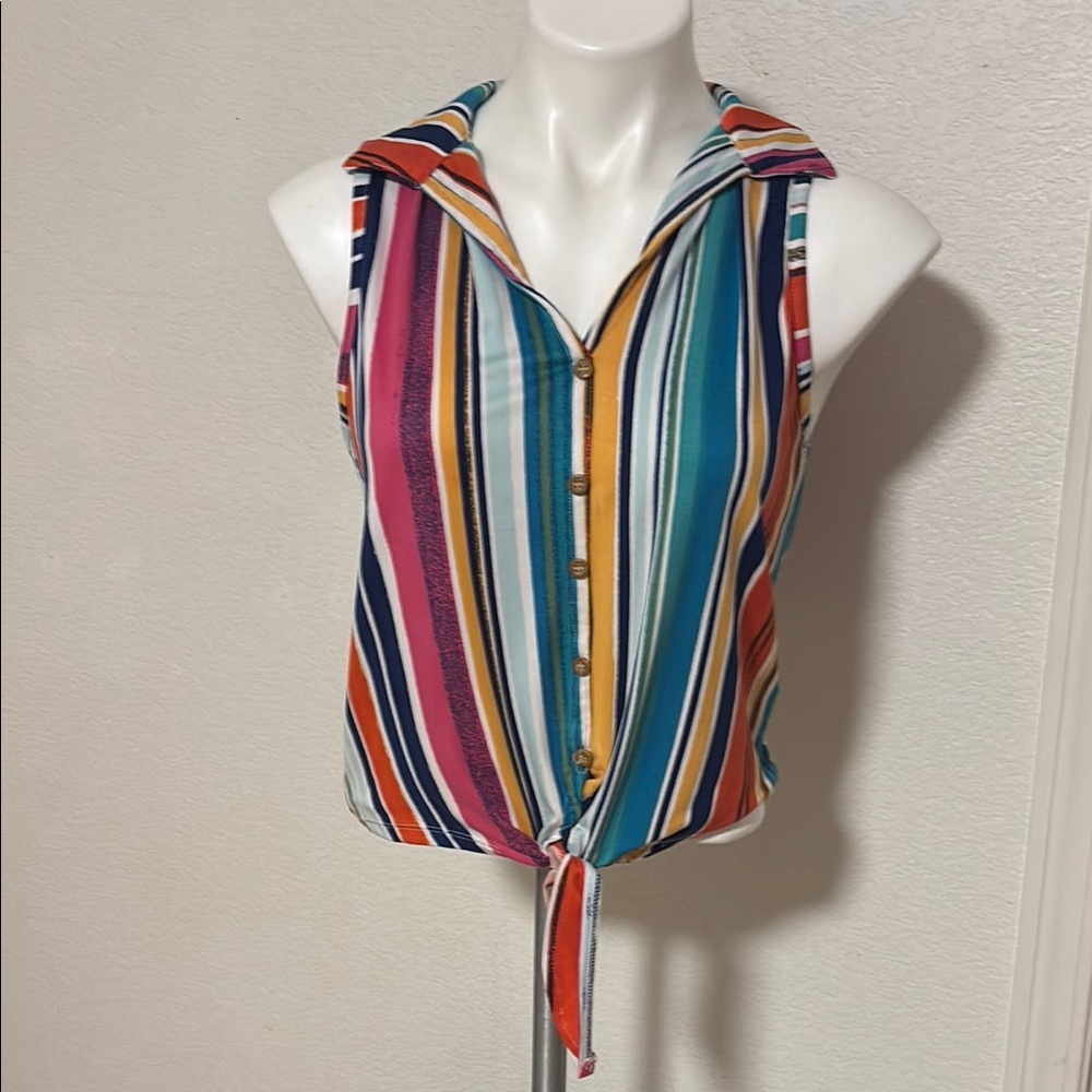 Vibrant Blue and Pink Sleeveless Button Down Top